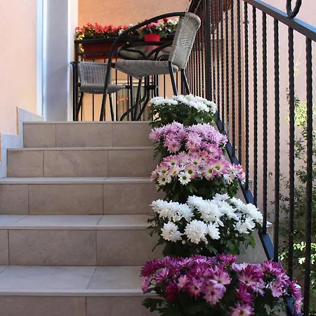 Balabusic Apartament *